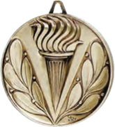 Torch High-Quality Satin Finish