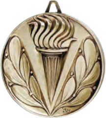 Torch High-Quality Satin Finish