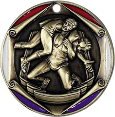 Wrestling, Tri-Color Enameled Border Medal