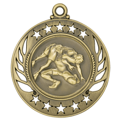 Wrestling Galaxy Medal