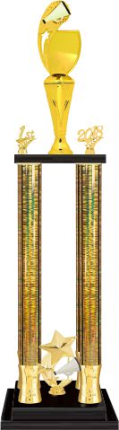 Custom Graphic 4-Column Trophy
