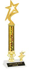 Gold Star Trophy