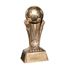 Soccer Champion Award