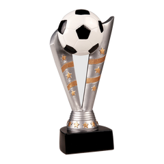 Fanfare Soccer Award